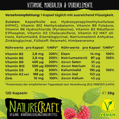Vegan All-in-One - Vitamin B12+D3+K2+B2+B6+B9 Folic Acid + Zinc + Iron + Selenium + Sodium + Potassium + Iodine - Complex with 120 capsules (4 month supply) 